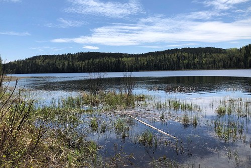 Gallery-Image-Forsyth-Lake-01