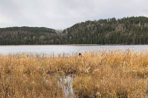 Gallery-Image-Forsyth-Lake-03