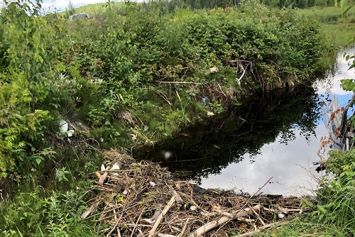 Gallery-Image-Ladle-Lake-01